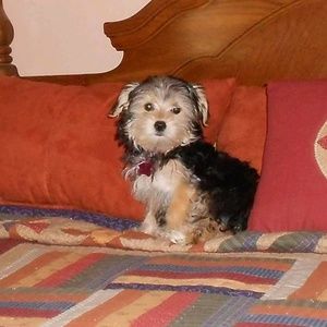 Meet your Posher, Linda